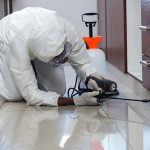 How to Generate High-Quality Pest Control Leads: A Comprehensive Guide